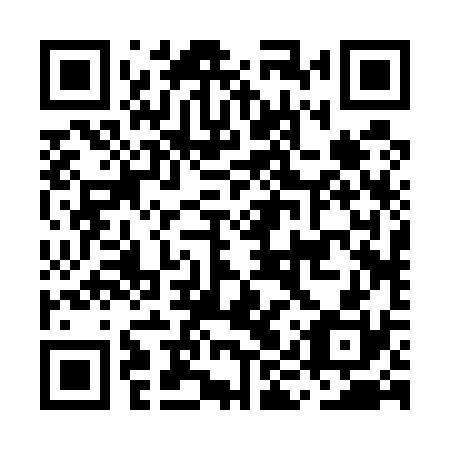 QR code for MIR 530