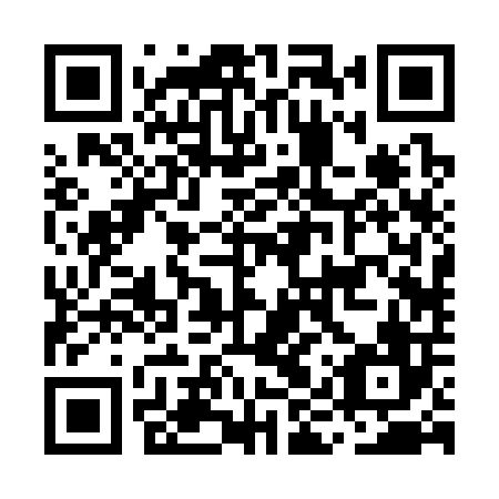 QR code for MIR306