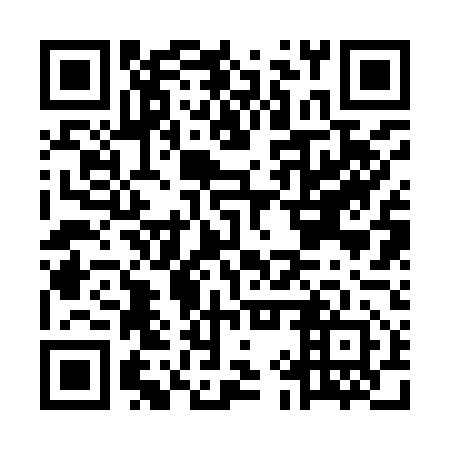 QR code for plate MIR 952