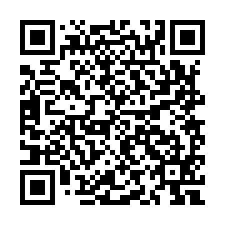 QR code for plate MIR 995