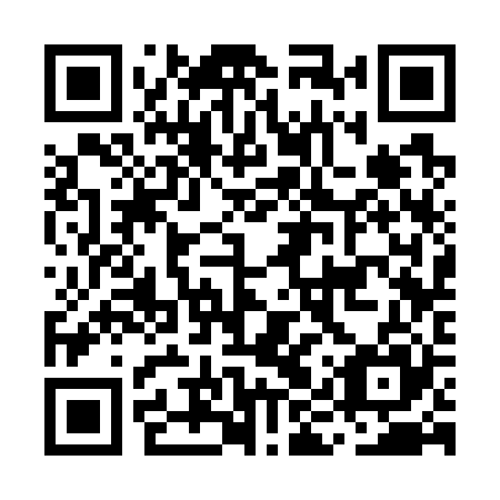 QR code for MIS 725