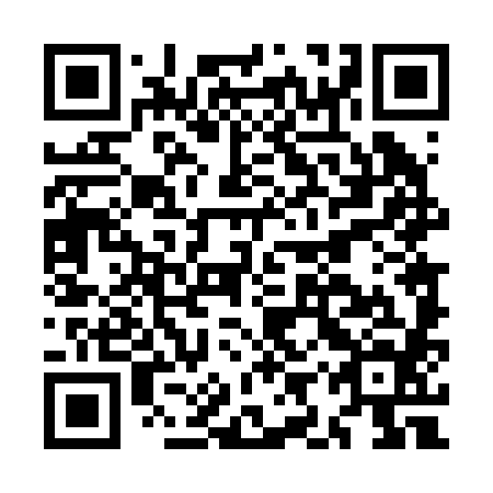 QR code for plate MIT 284