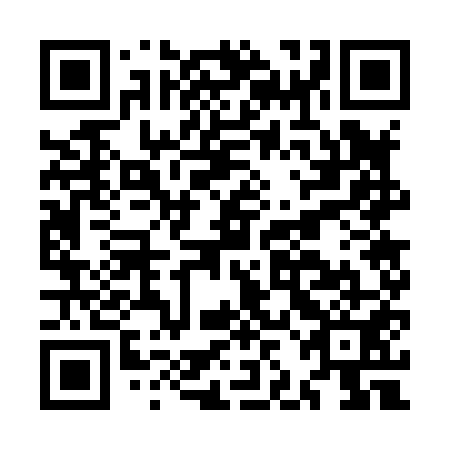 QR code for plate MJG 851