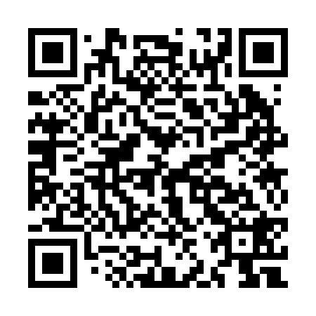 QR code for plate MJS 228
