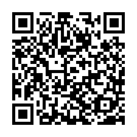 QR code for MJX 249