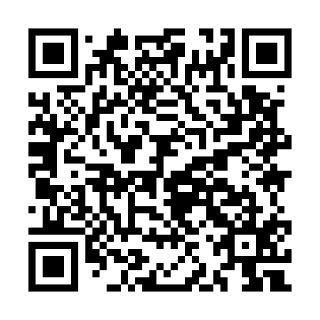 QR code for plate MJY 515