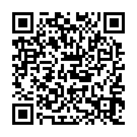 QR code for plate MKT 313