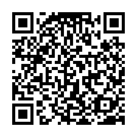QR code for MKV 229