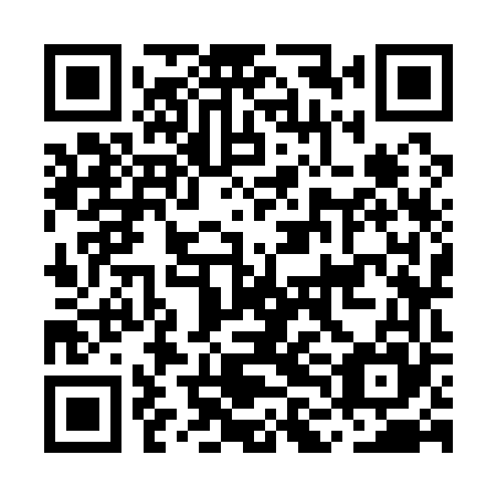 QR code for MLK 165
