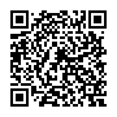 QR code for plate MLP 113