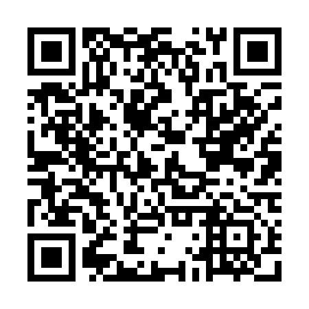 QR code for plate MLV 113