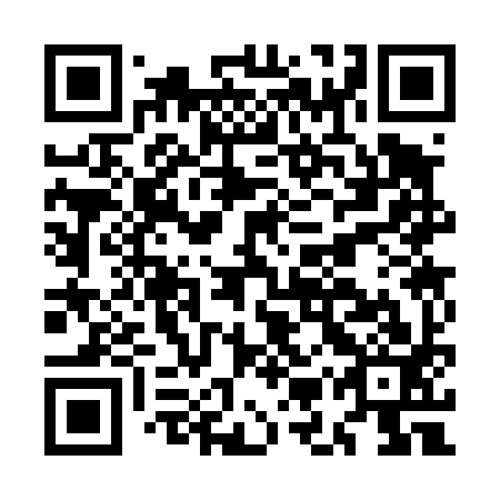 QR code for plate MMS 493