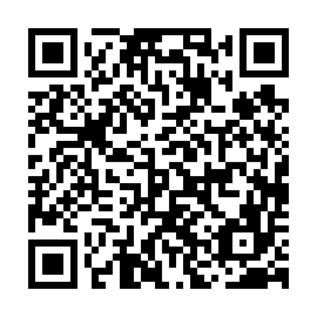 QR code for MNP 656