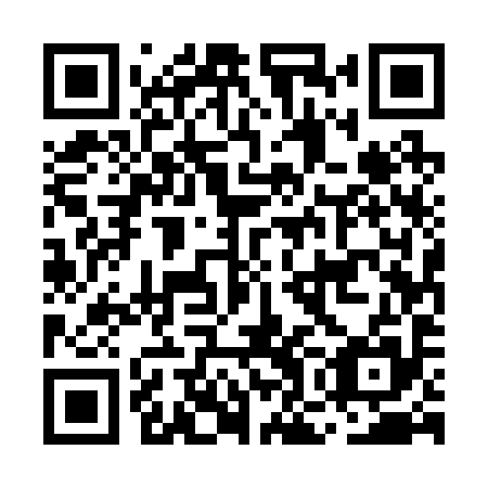 QR code for plate MOE 295