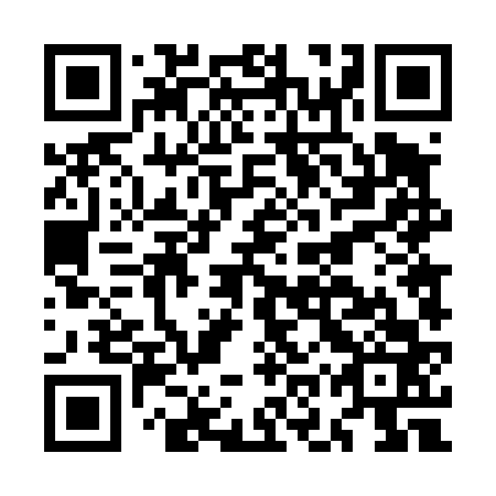 QR code for plate MOT 463