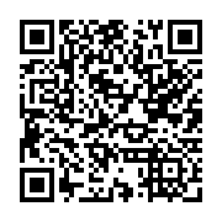 QR code for MPF333