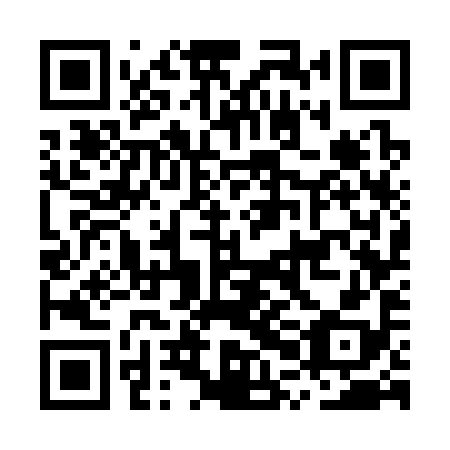 QR code for MPG 398
