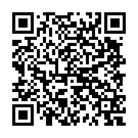 QR code for MPH 460