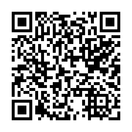 QR code for MPP 291