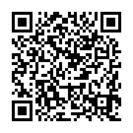 QR code for MPP 991