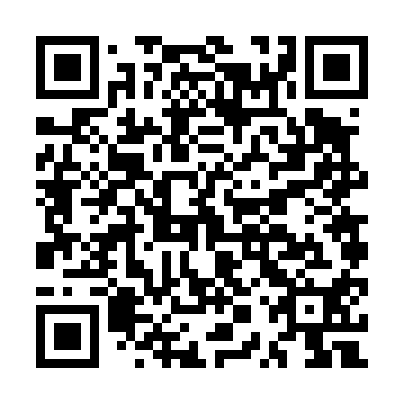 QR code for MPV 410