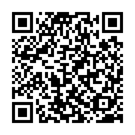 QR code for MPV 768