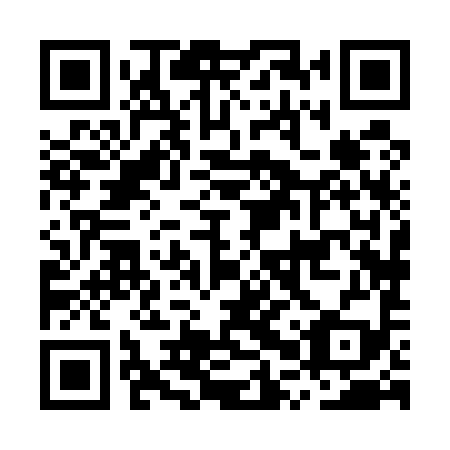 QR code for plate MPX 599