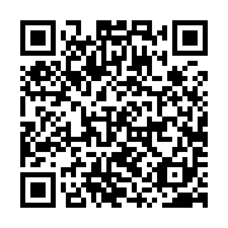 QR code for MQT 991
