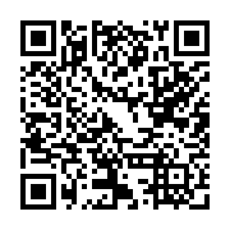 QR code for MSA 960