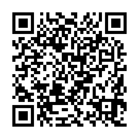 QR code for MSA 991