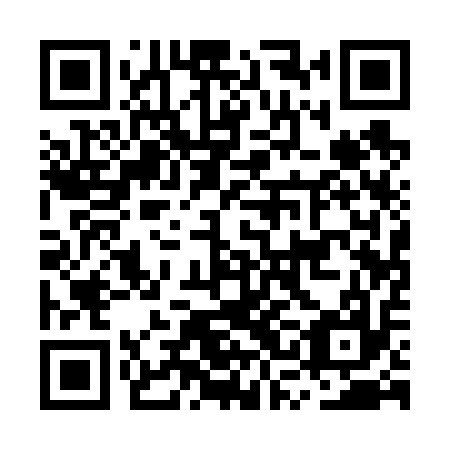 QR code for plate MSA 617