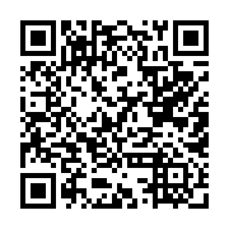 QR code for MSE 491
