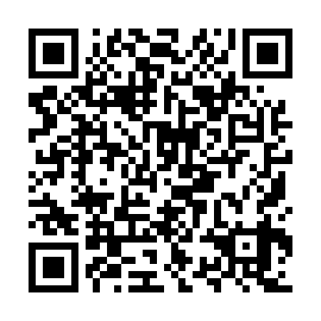 QR code for MSI 539