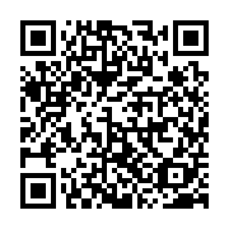 QR code for plate MSI 308