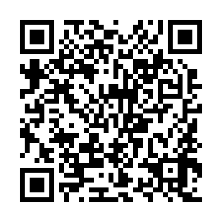 QR code for plate MSL 298