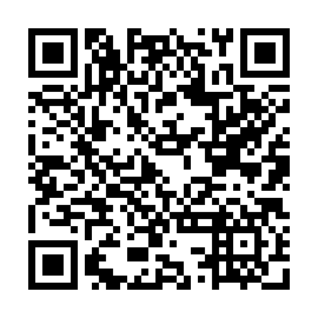 QR code for MSN387