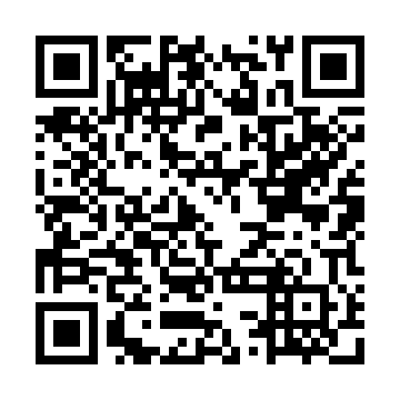 QR code for MSO 300