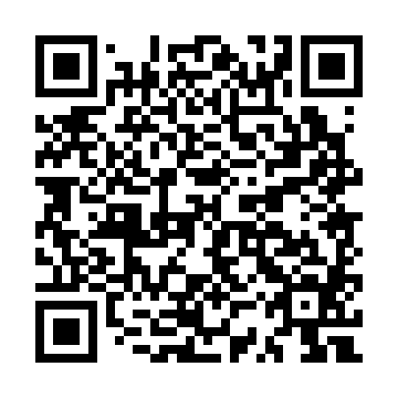 QR code for MSP 384