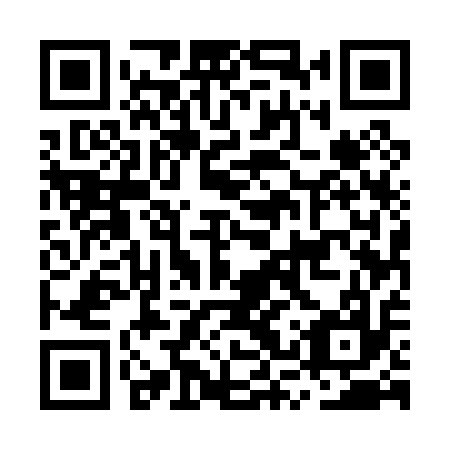 QR code for MSU 017