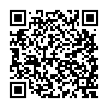 QR code for plate MSV 181