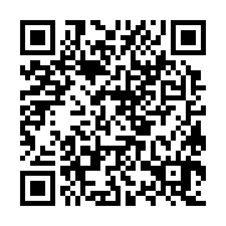 QR code for MSW 384