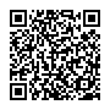 QR code for plate MSX 461