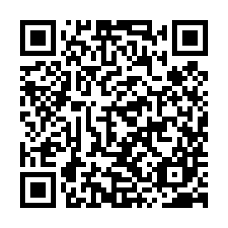 QR code for plate MSY 487