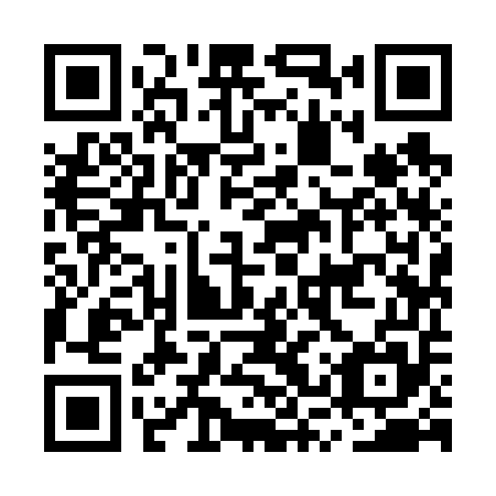 QR code for plate MSY 655
