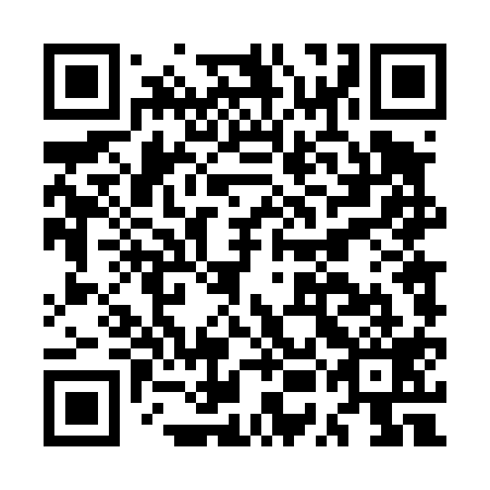 QR code for plate MUD 419