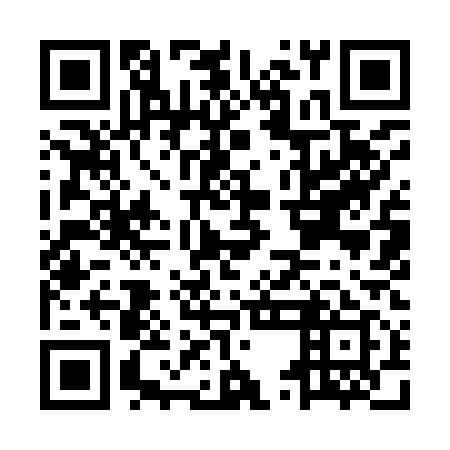 QR code for plate MUI 919