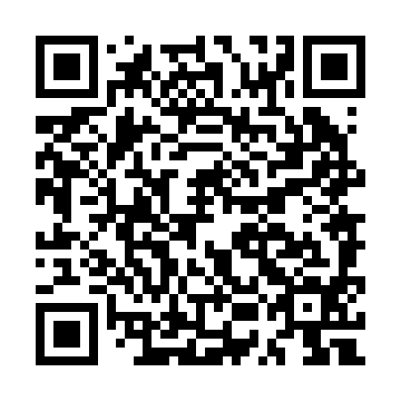 QR code for plate MUN 294