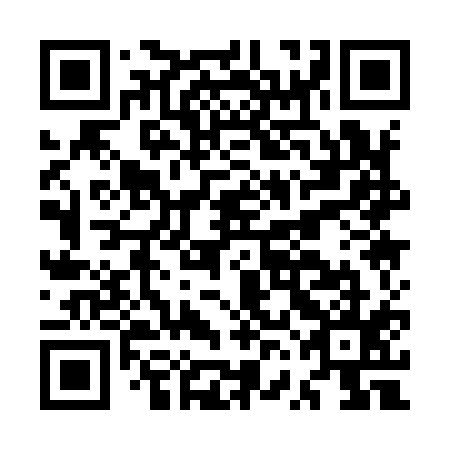 QR code for plate MVA 915