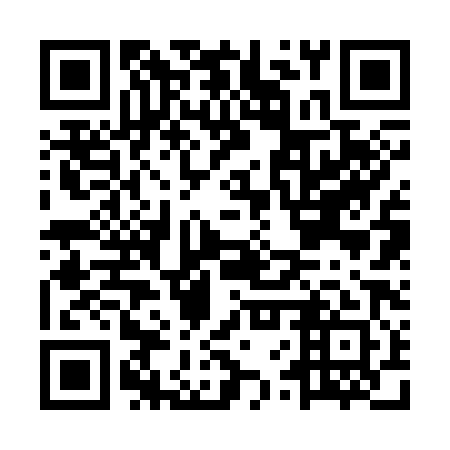 QR code for MVR 381