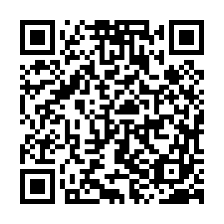 QR code for plate MXJ 063